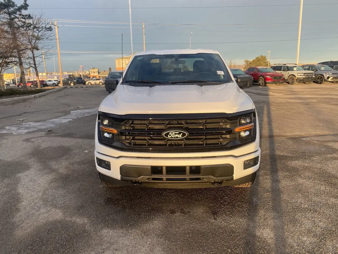 Ford F 150 photo Ford F 150