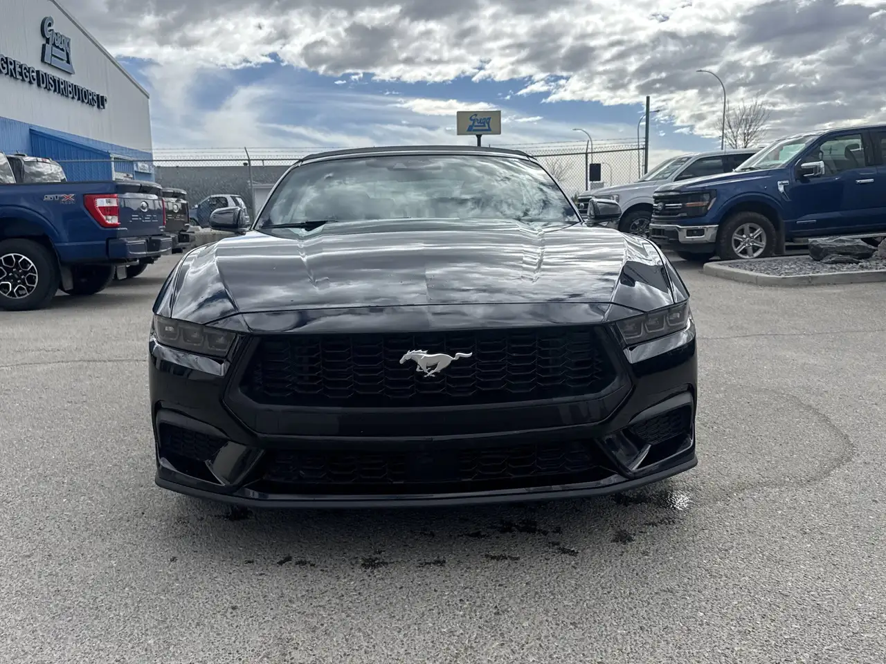 Ford Mustang снимка Ford Mustang