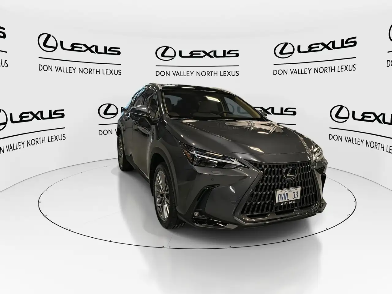 Lexus NX photo Lexus NX