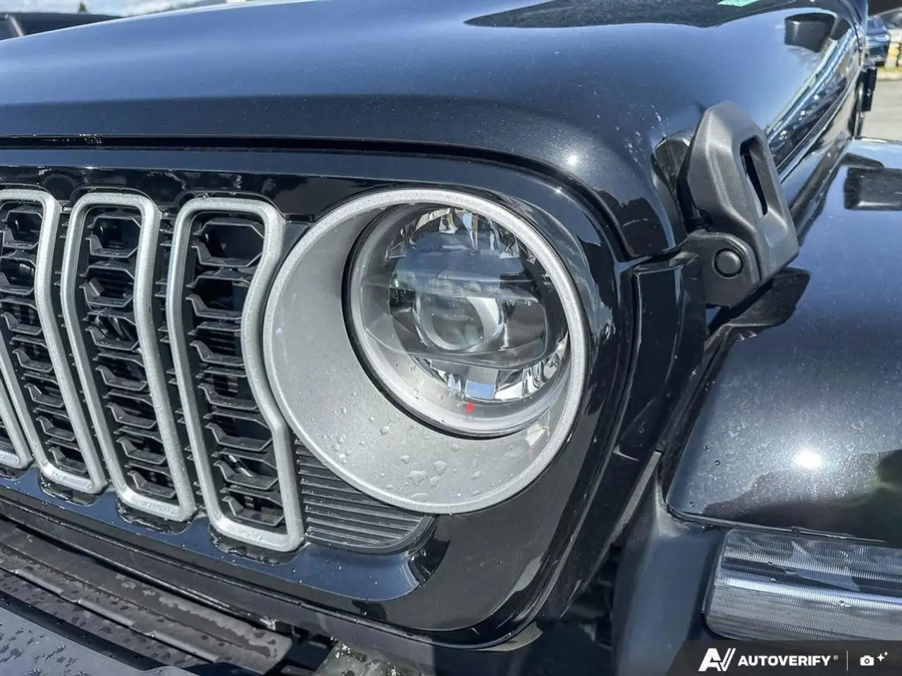 Jeep Wrangler fotografie Jeep Wrangler