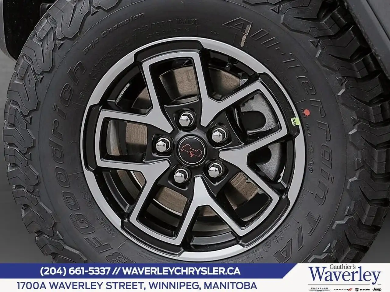 Jeep Wrangler fotografie Jeep Wrangler