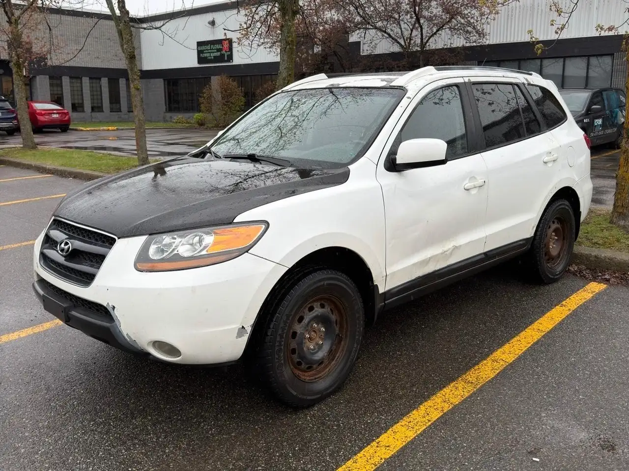 2009 Hyundai SANTA FE