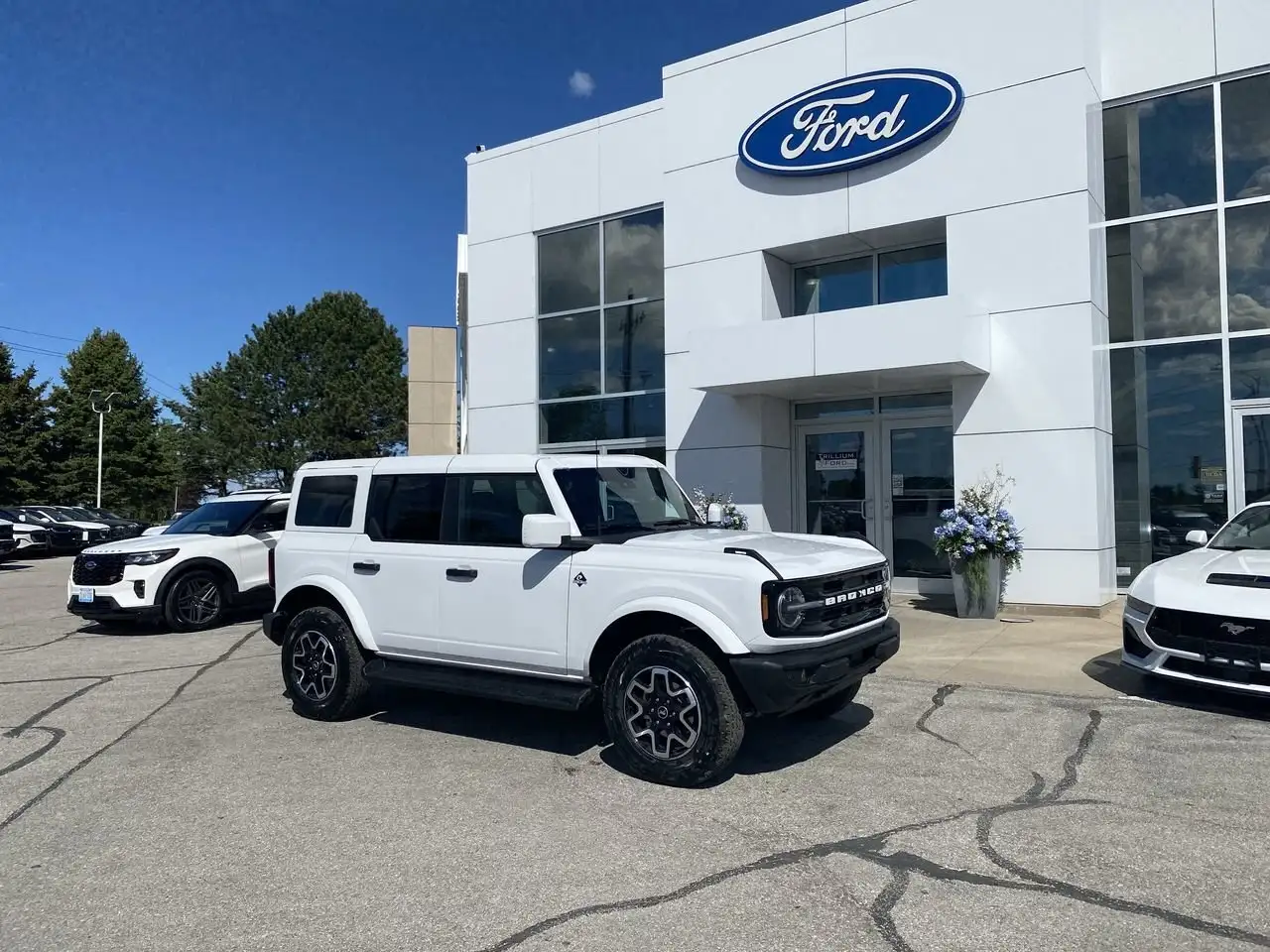 Ford Bronco fotografie Ford Bronco