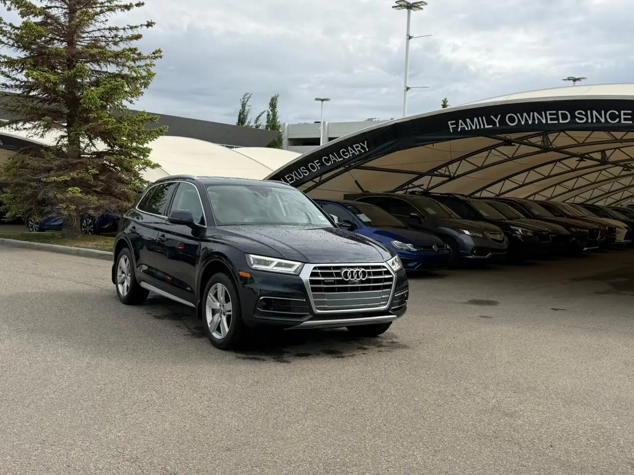 2019 Audi Q5 снимка 2019 Audi Q5