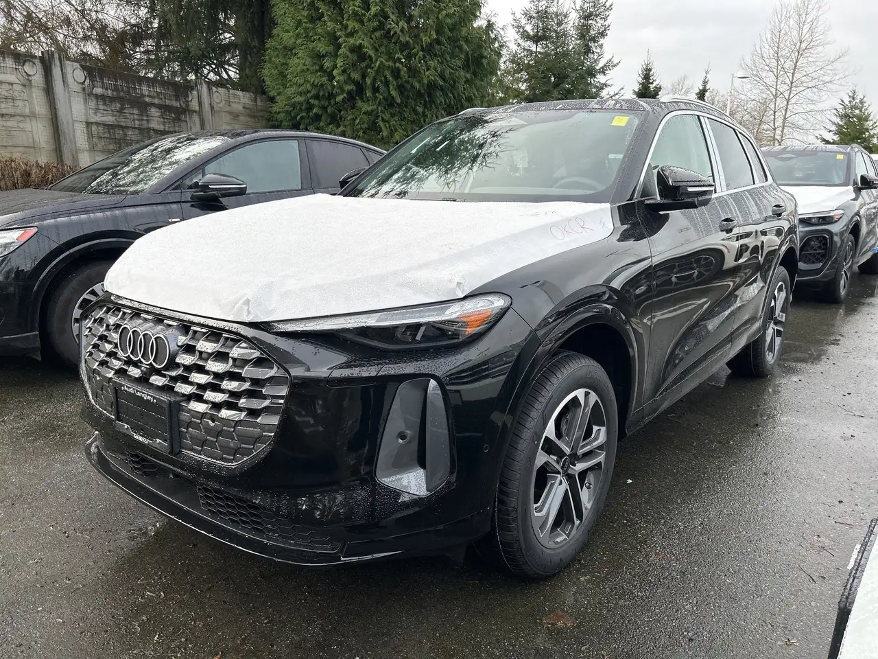 2025 Audi Q5