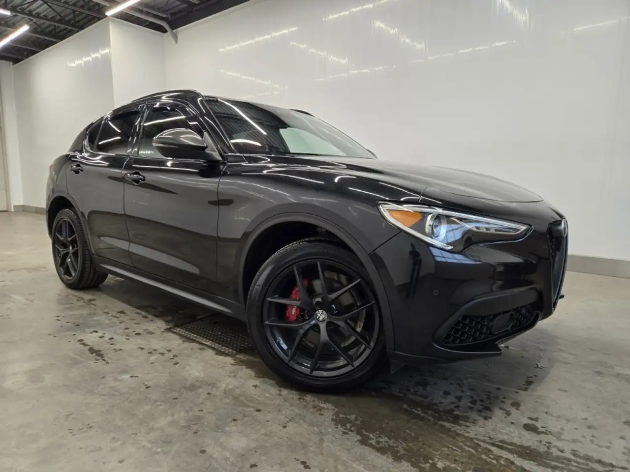 Alfa Romeo Stelvio fotografie Alfa Romeo Stelvio