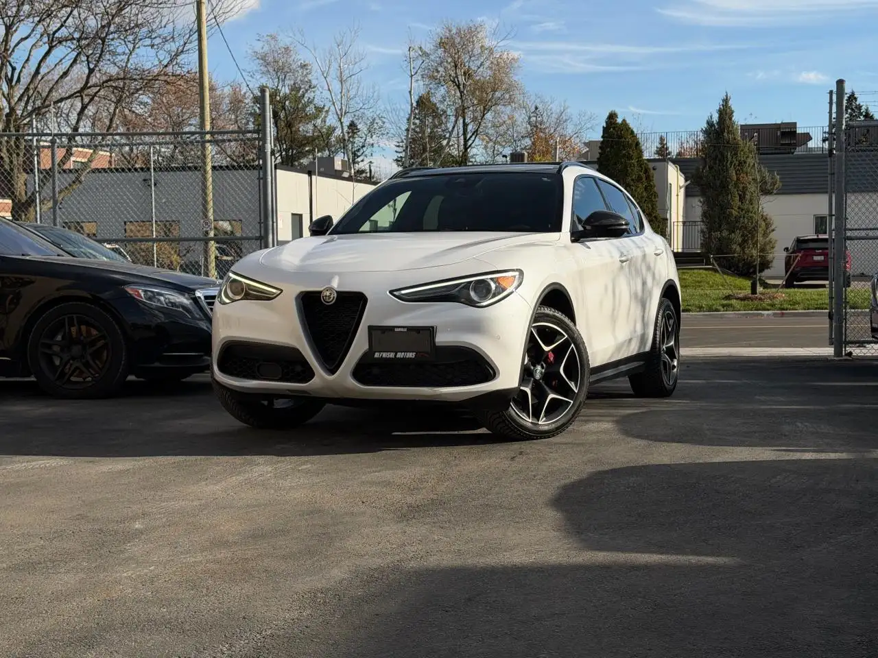 Alfa Romeo Stelvio снимка Alfa Romeo Stelvio