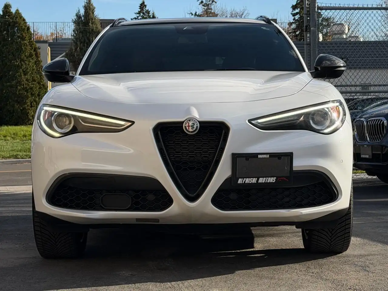 Alfa Romeo Stelvio снимка Alfa Romeo Stelvio