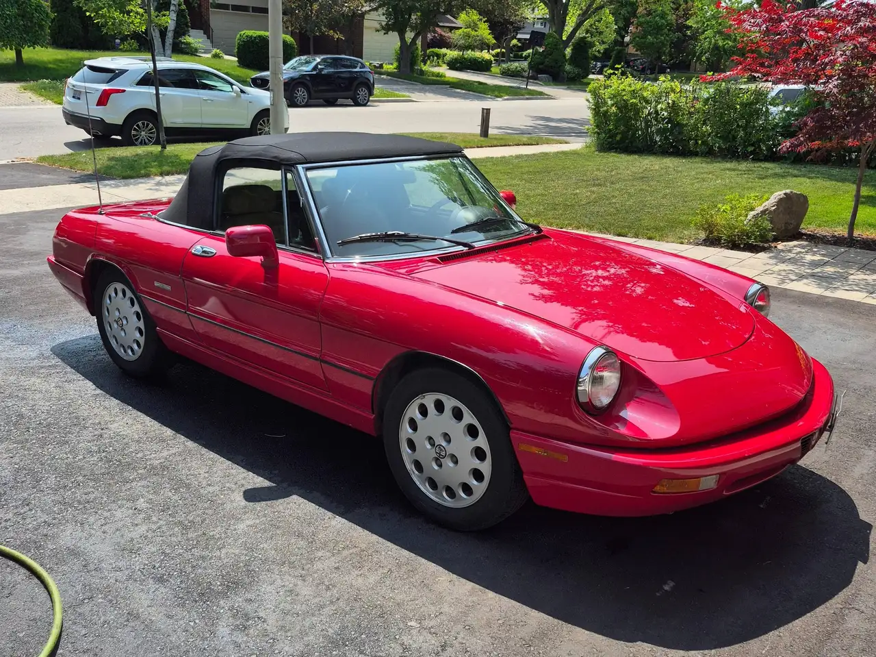 Alfa Romeo Spider fotografie Alfa Romeo Spider