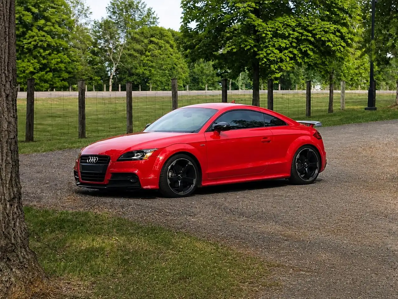 Audi TT photo Audi TT
