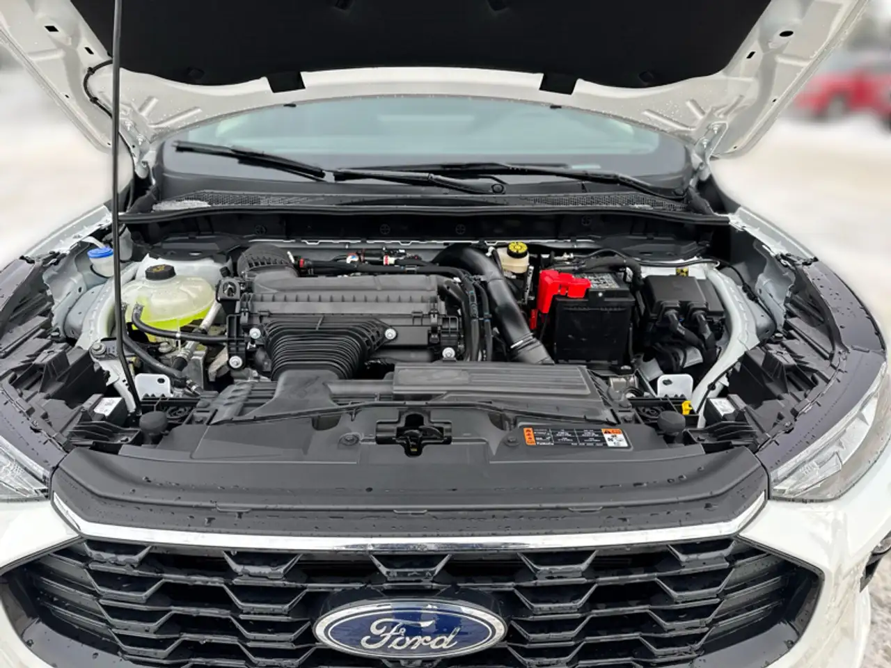 Ford Escape photo Ford Escape