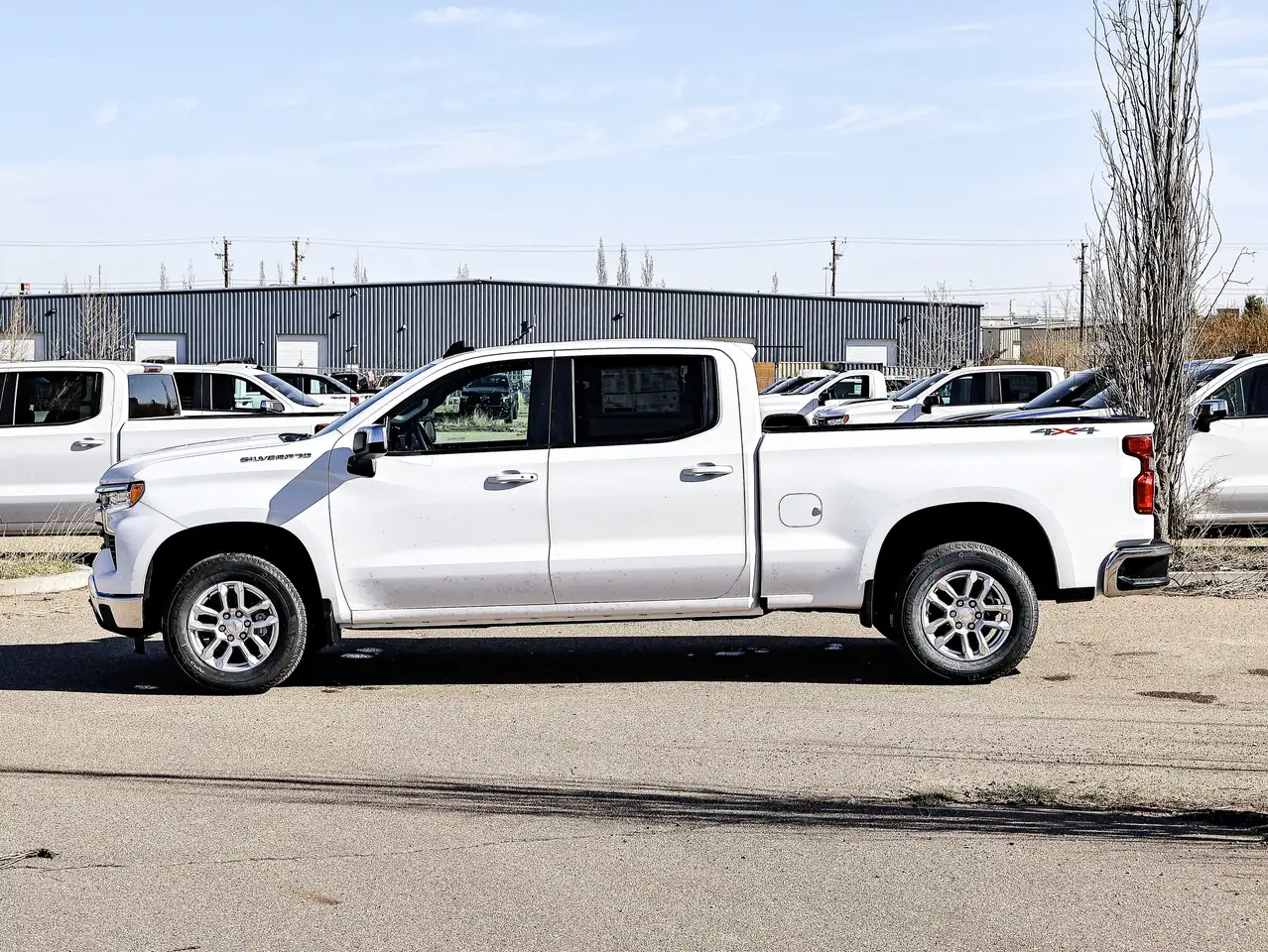 Chevrolet Silverado 1500 photo Chevrolet Silverado 1500