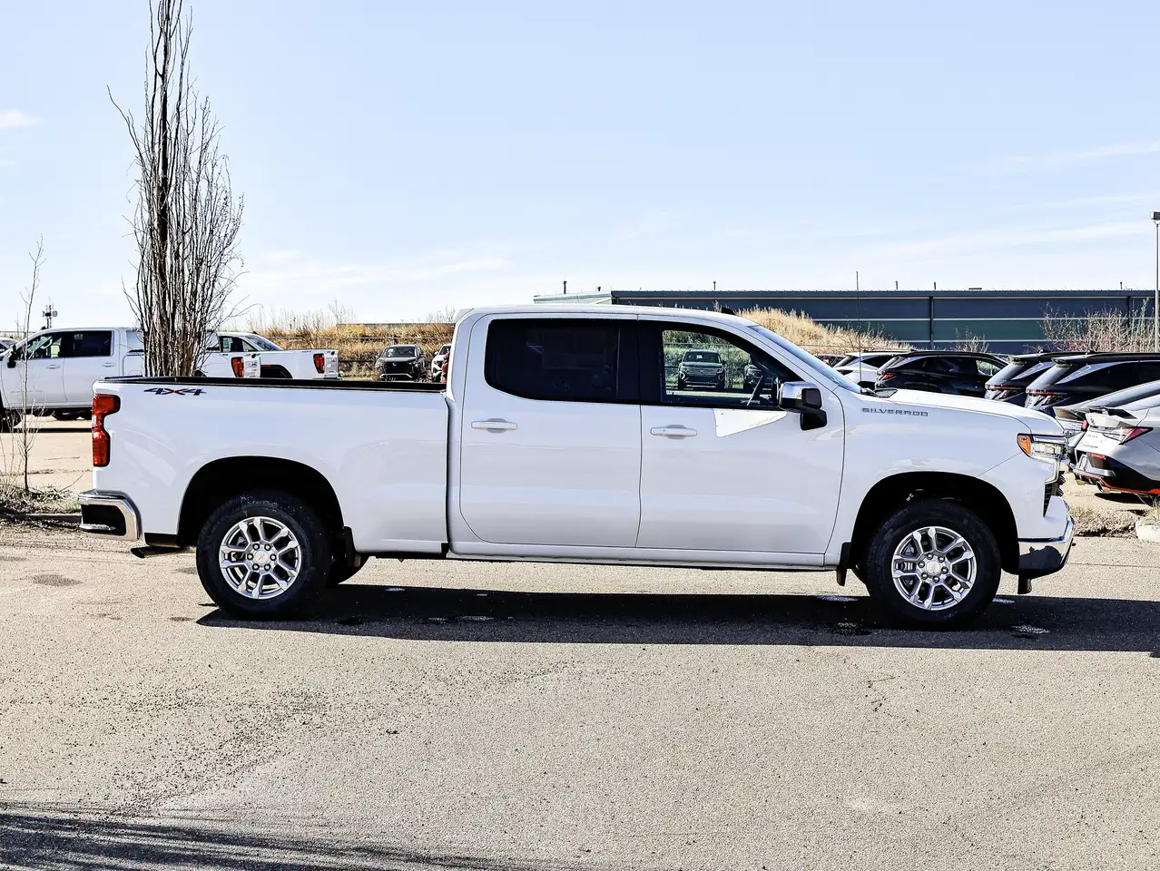Chevrolet Silverado 1500 photo Chevrolet Silverado 1500