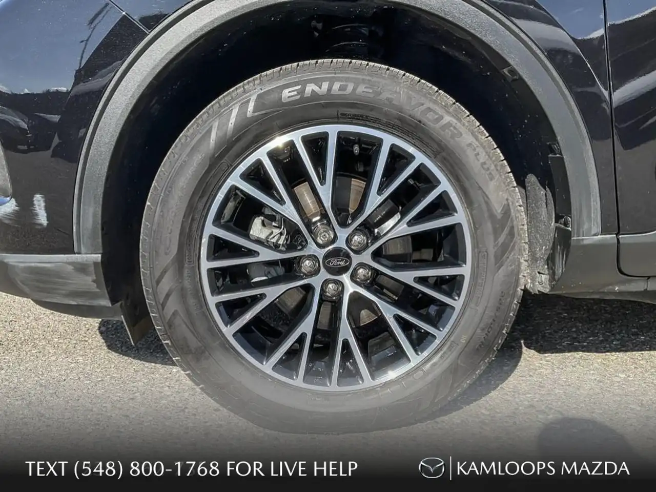 Ford Escape photo Ford Escape