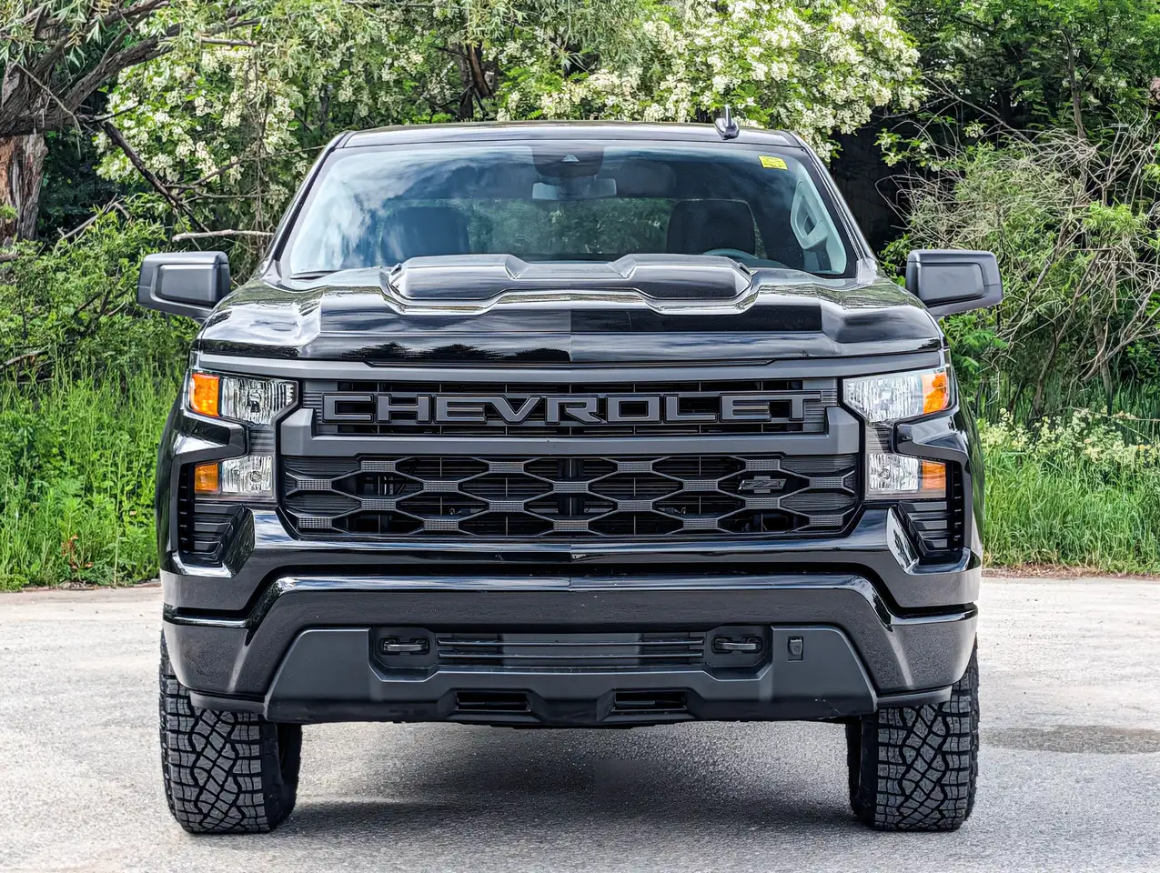 Chevrolet Silverado 1500 photo Chevrolet Silverado 1500