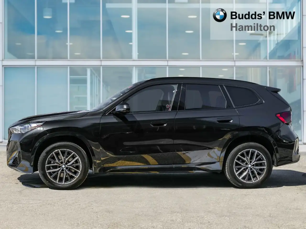 BMW X1 photo BMW X1