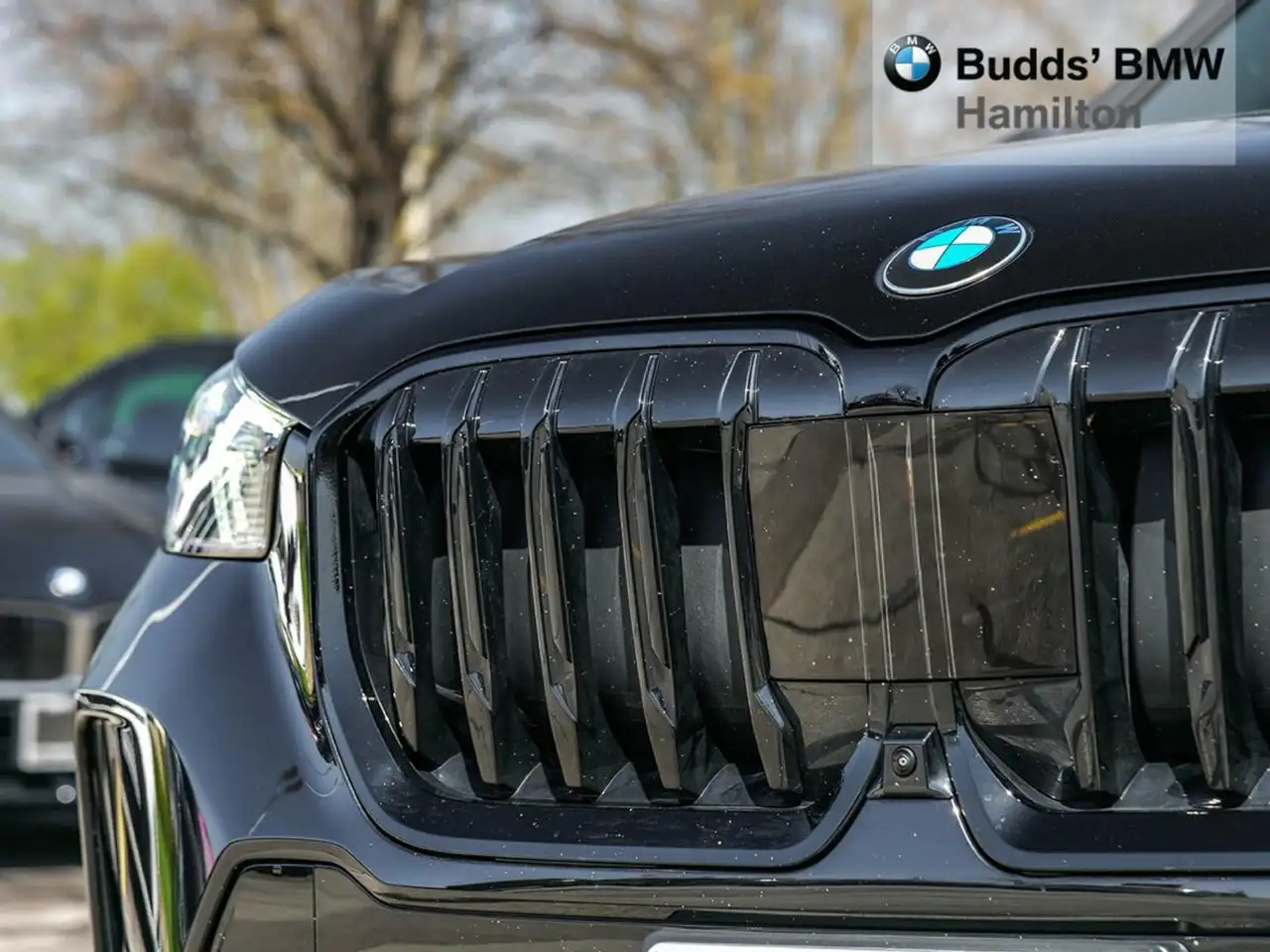 BMW X1 photo BMW X1