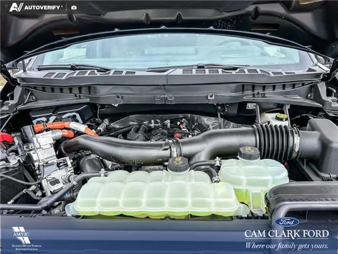 Ford F 150 photo Ford F 150