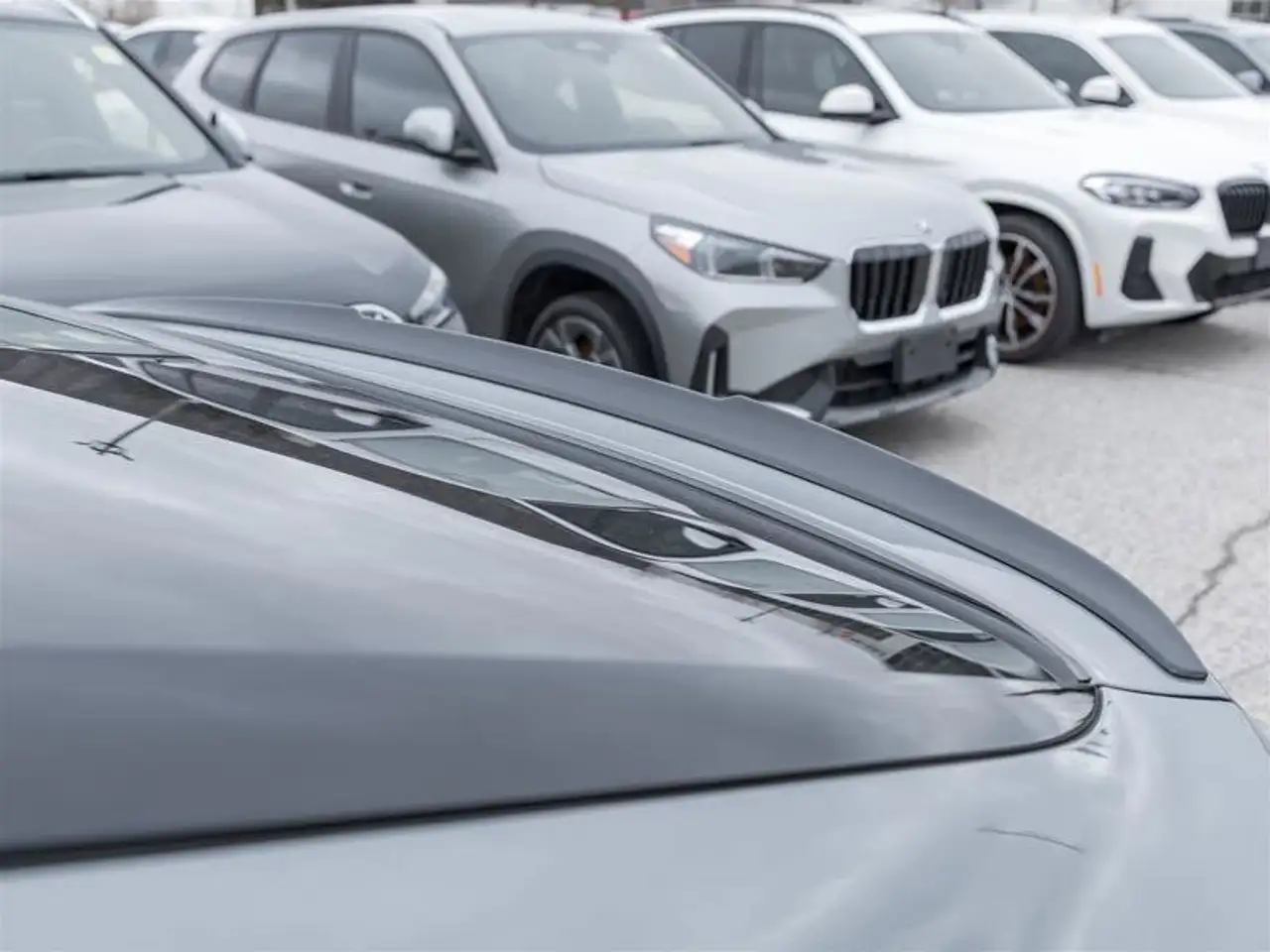 BMW X6 photo BMW X6