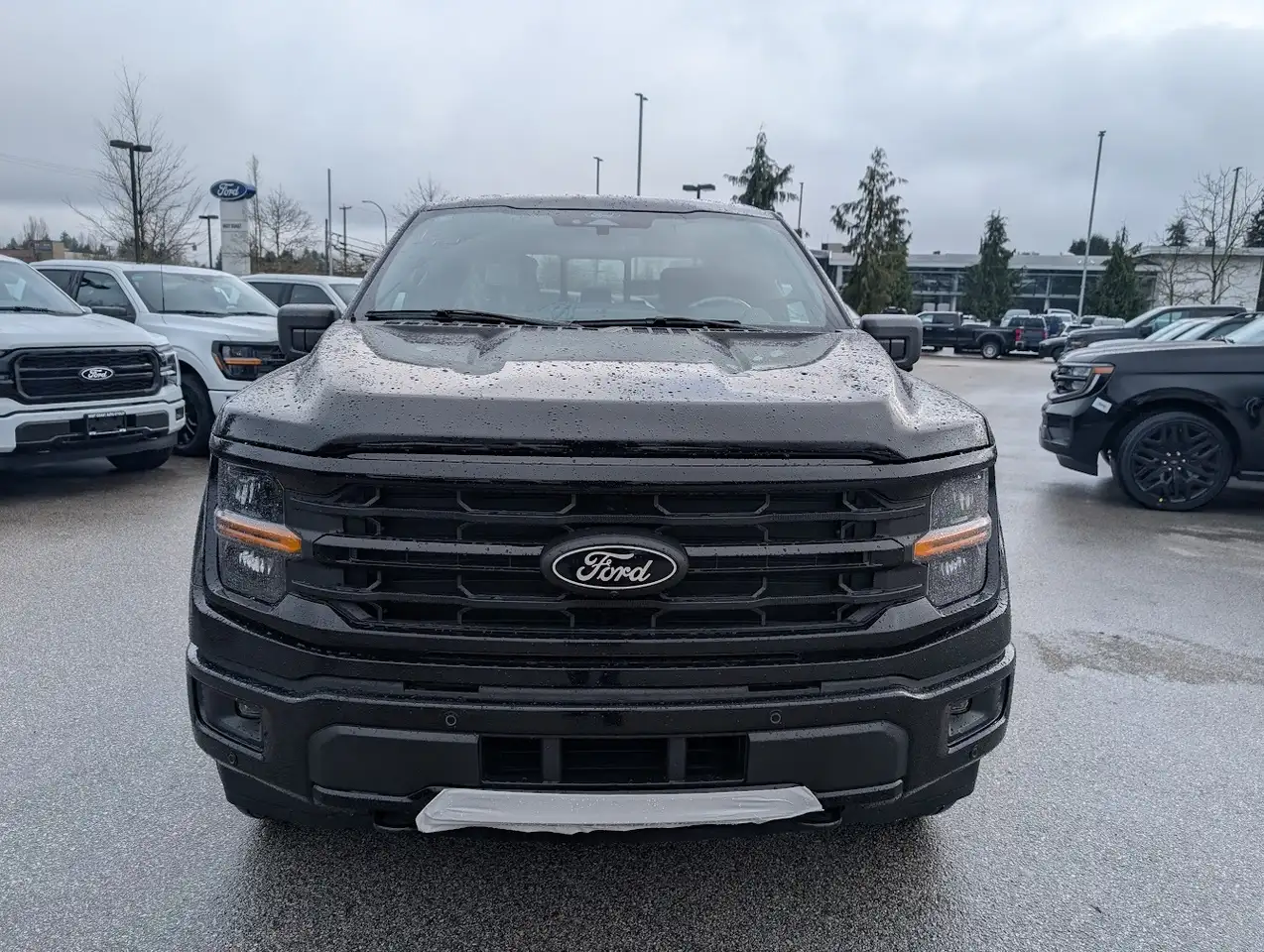 Ford F 150 снимка Ford F 150