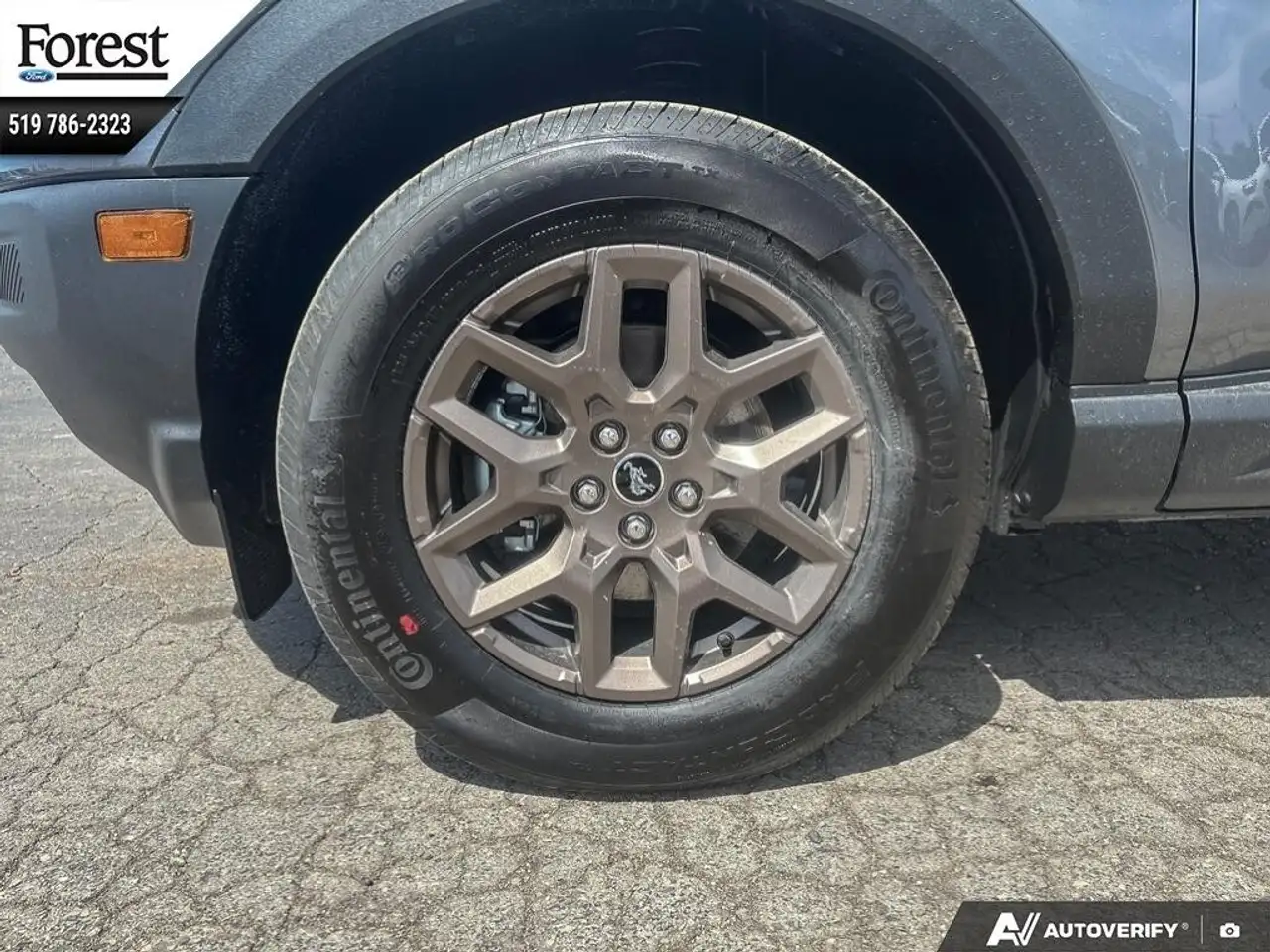 Ford Bronco Sport снимка Ford Bronco Sport