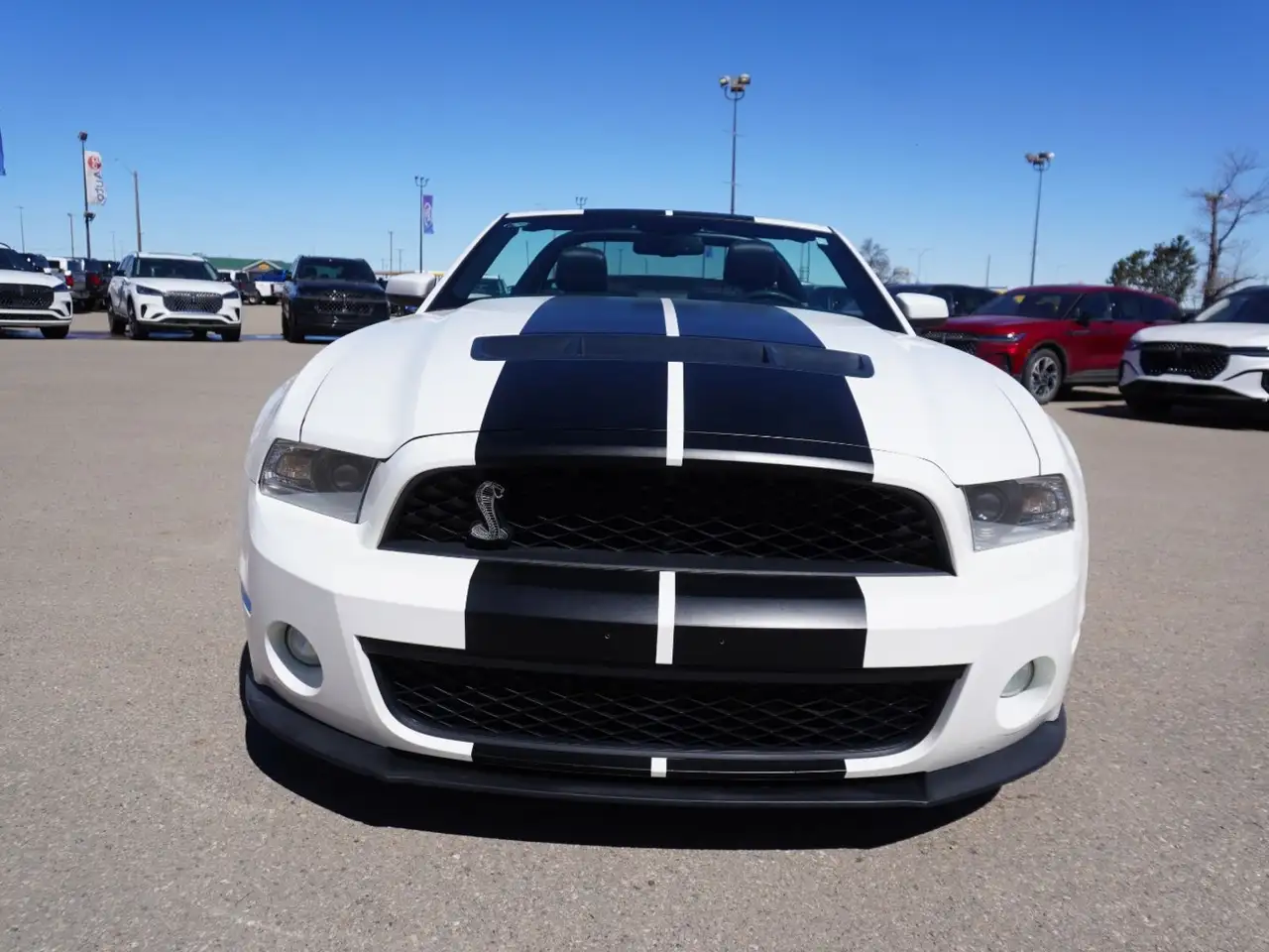 Ford Mustang photo Ford Mustang