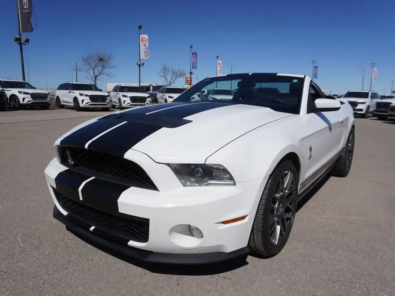 Ford Mustang photo Ford Mustang