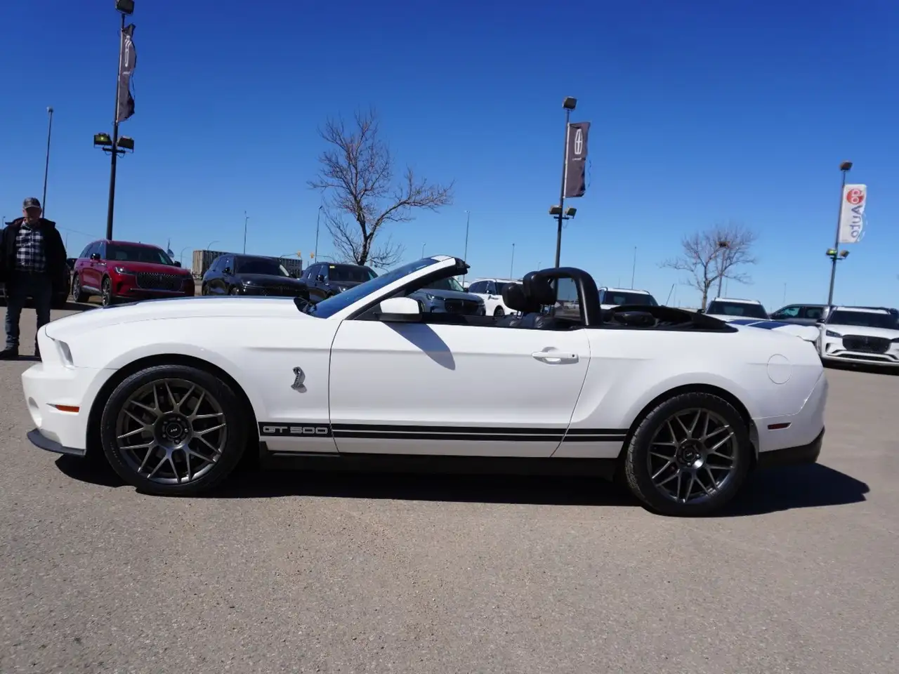 Ford Mustang photo Ford Mustang