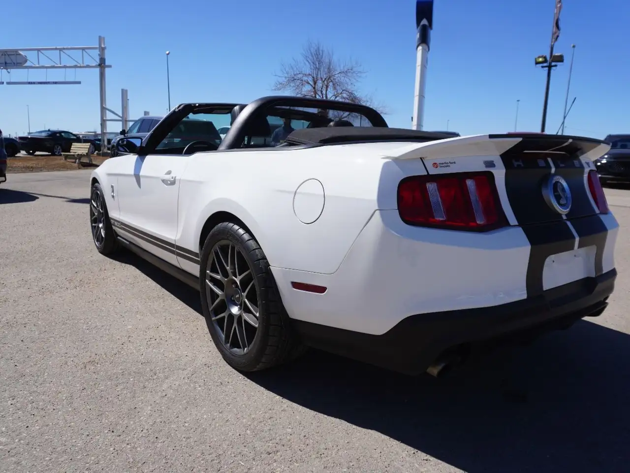 Ford Mustang photo Ford Mustang