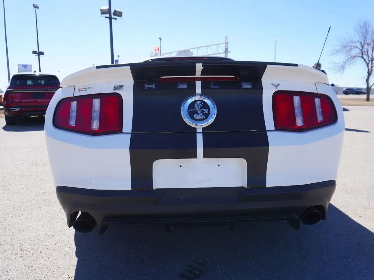 Ford Mustang photo Ford Mustang