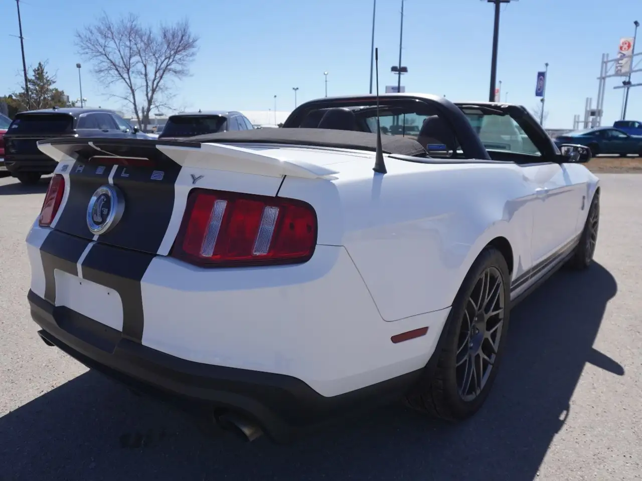 Ford Mustang photo Ford Mustang