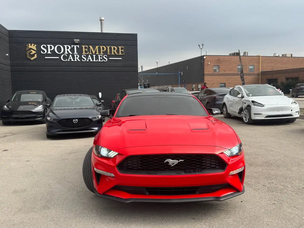 Ford Mustang fotografie Ford Mustang