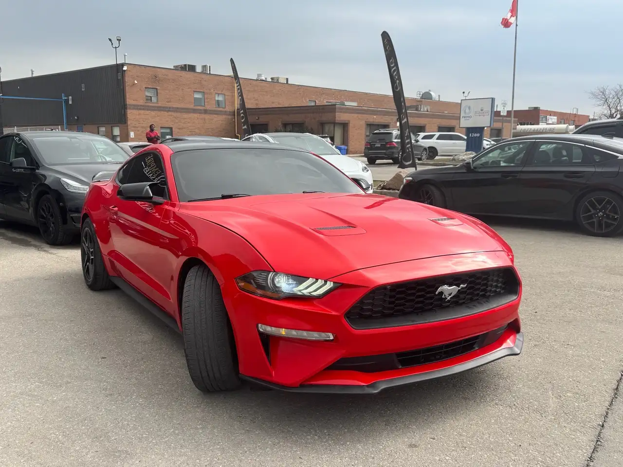 Ford Mustang fotografie Ford Mustang