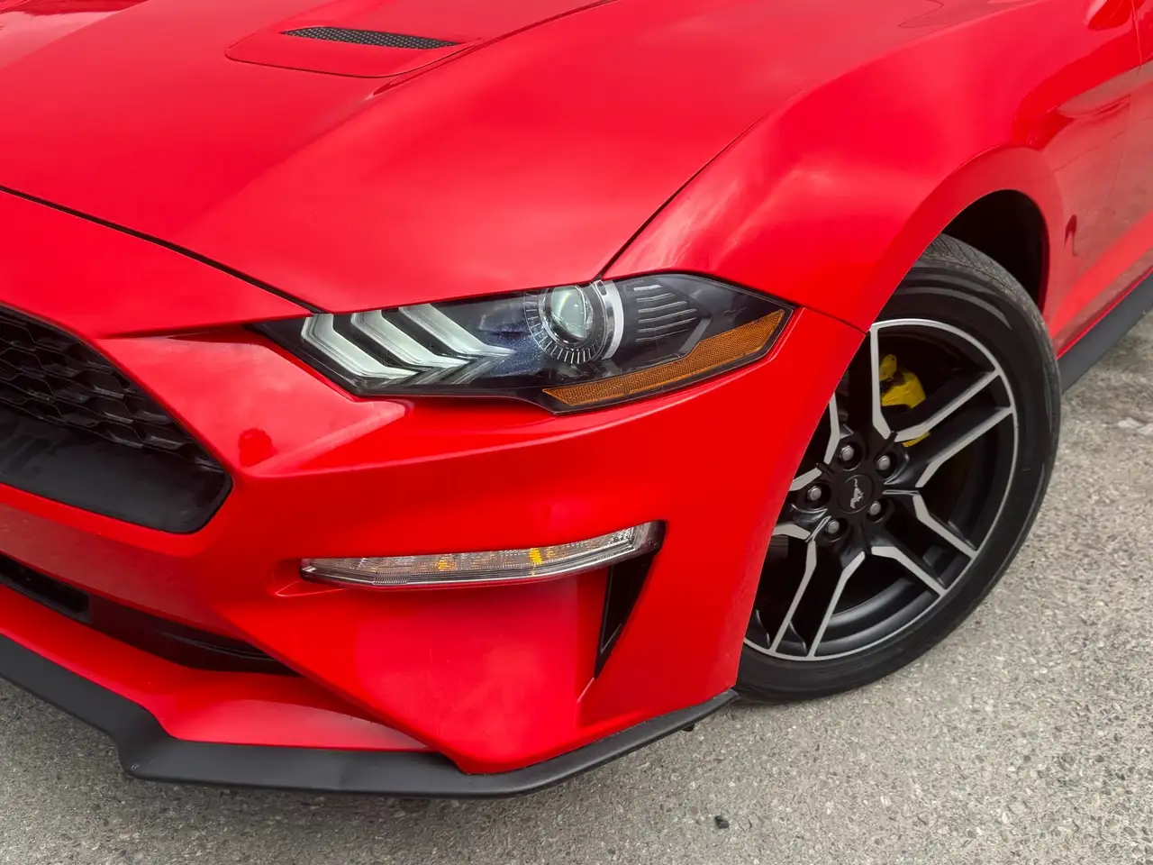 Ford Mustang fotografie Ford Mustang