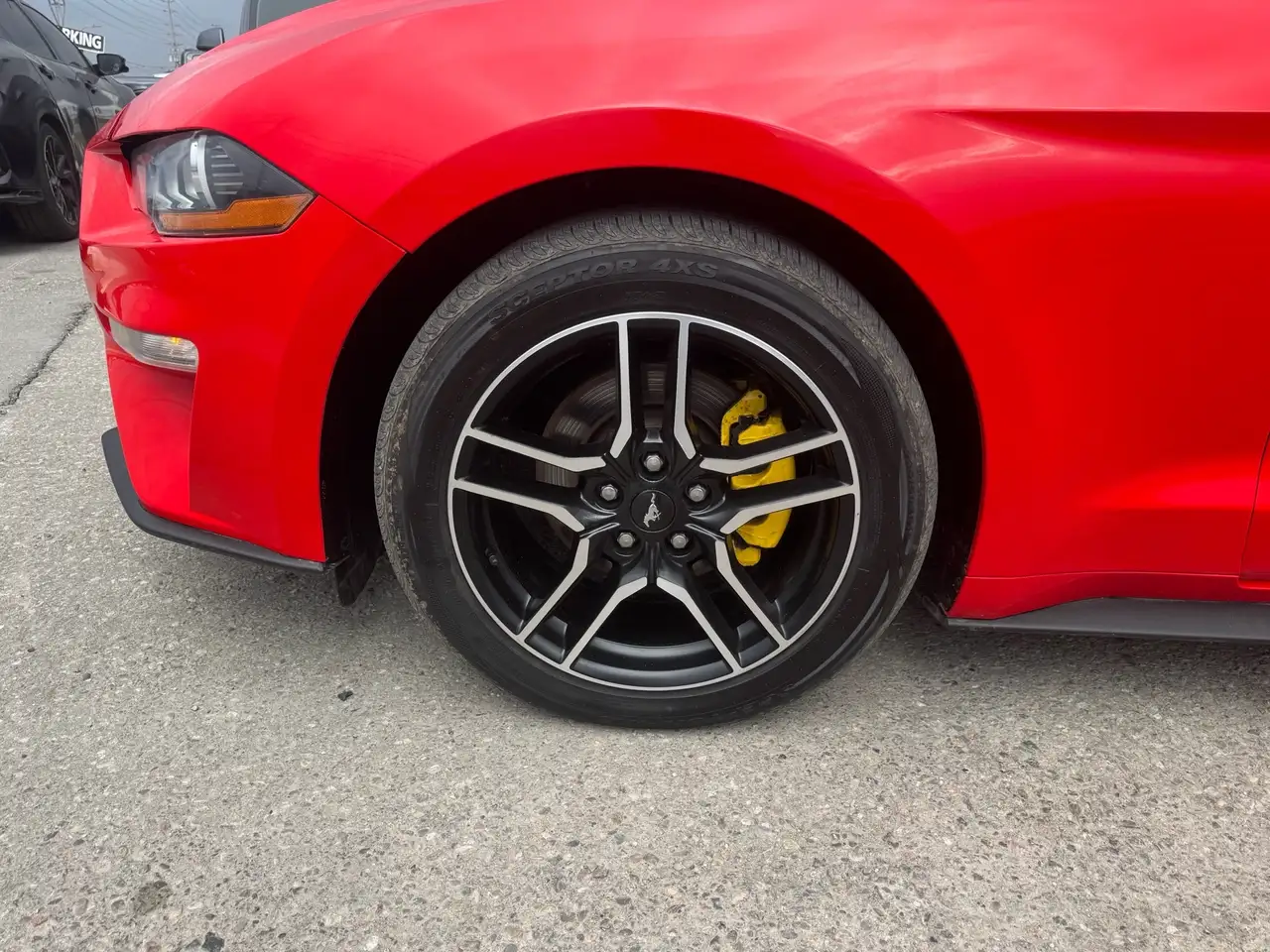 Ford Mustang fotografie Ford Mustang