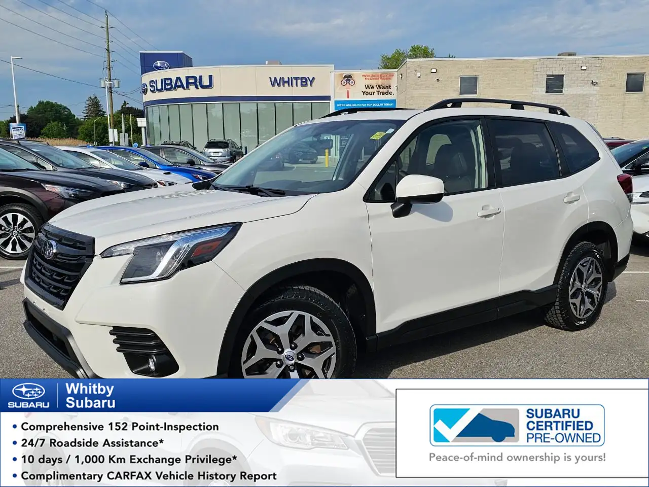 2024 Subaru Forester