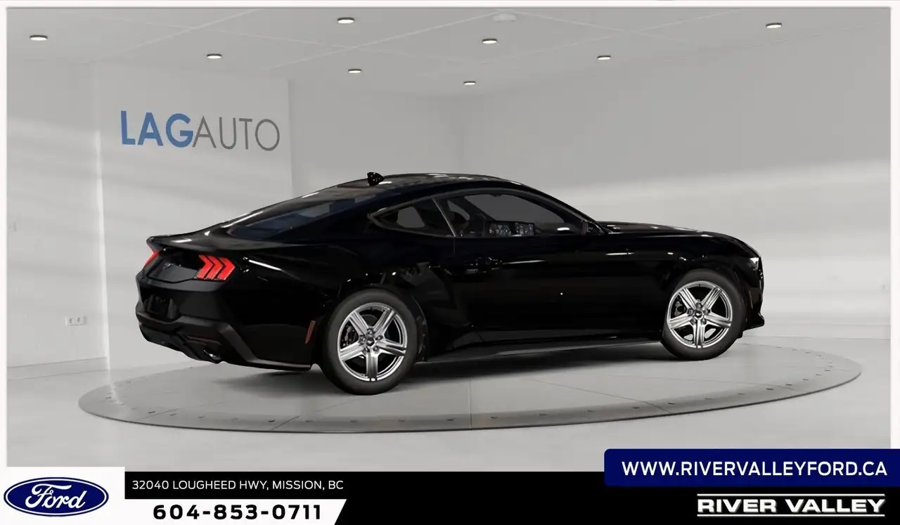 Ford Mustang fotografie Ford Mustang