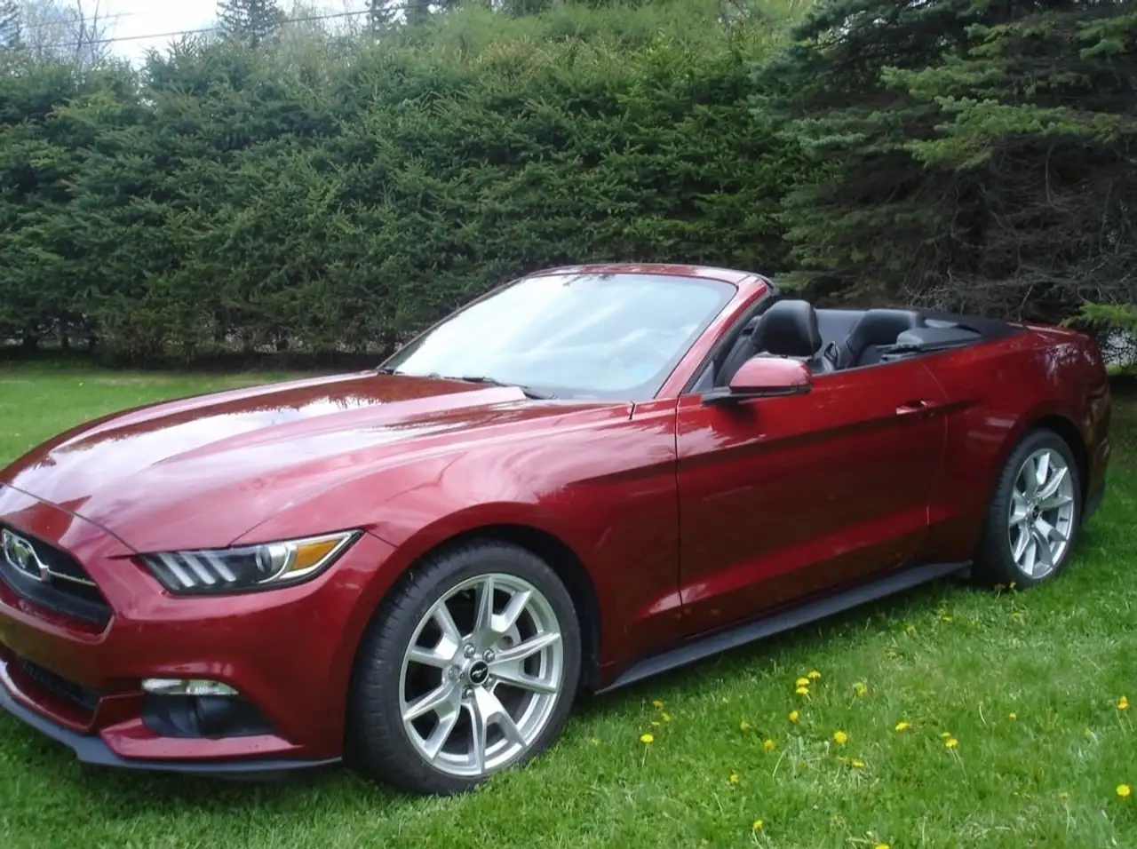Ford Mustang fotografie Ford Mustang