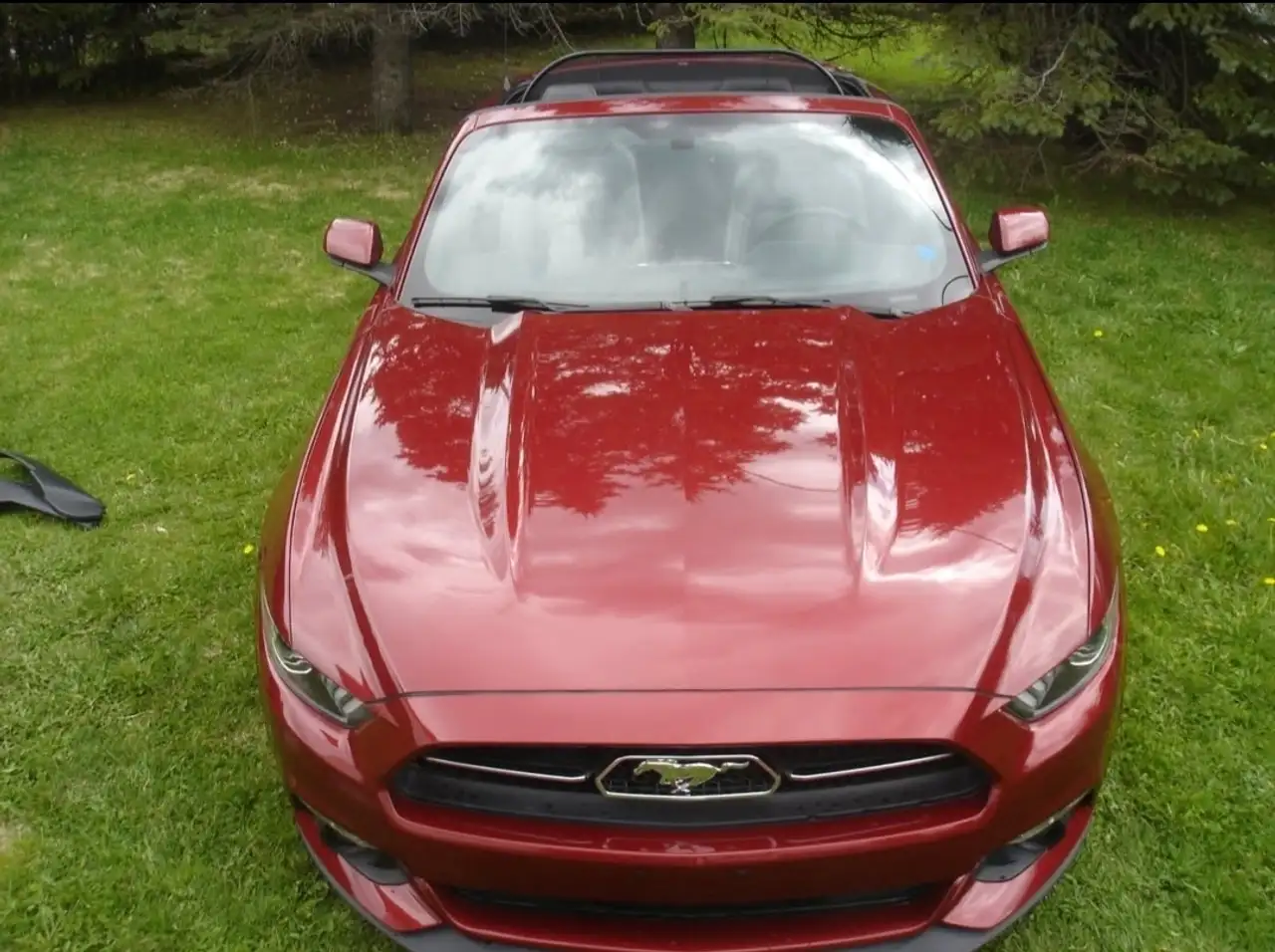 Ford Mustang fotografie Ford Mustang