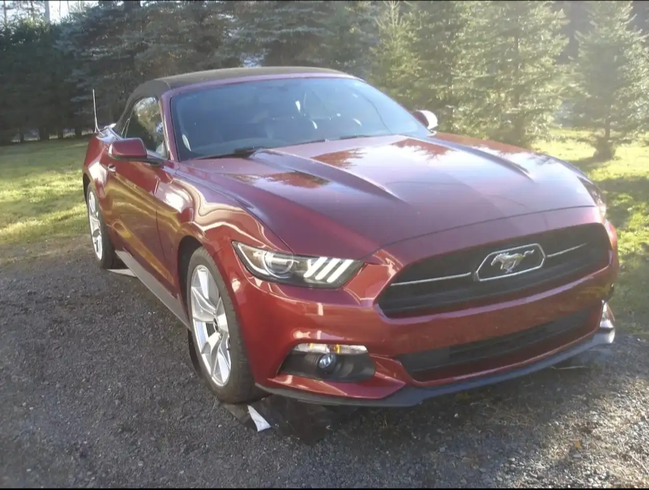 Ford Mustang fotografie Ford Mustang