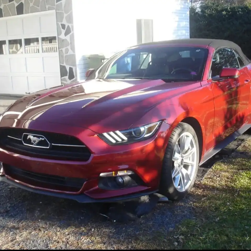Ford Mustang fotografie Ford Mustang
