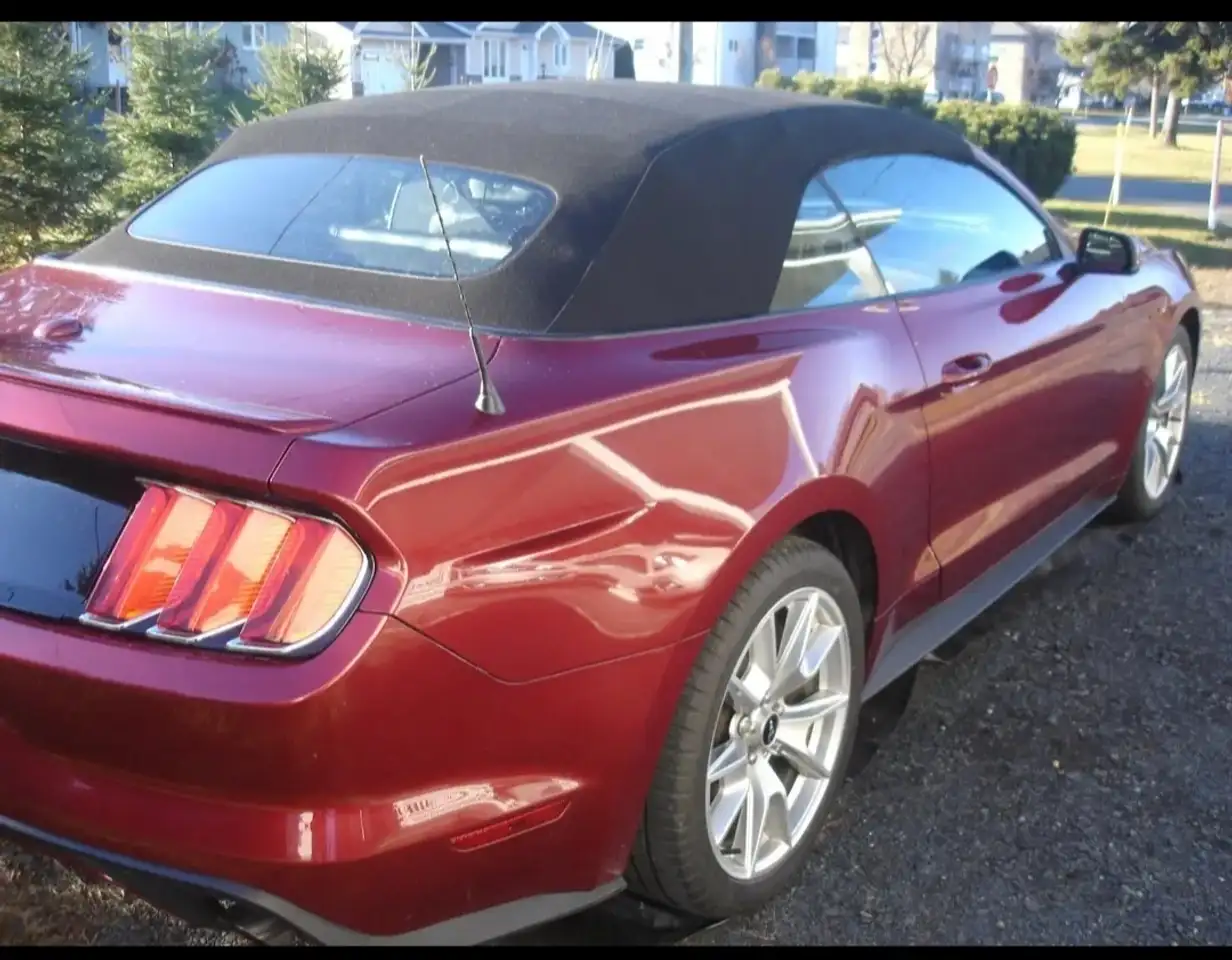Ford Mustang fotografie Ford Mustang