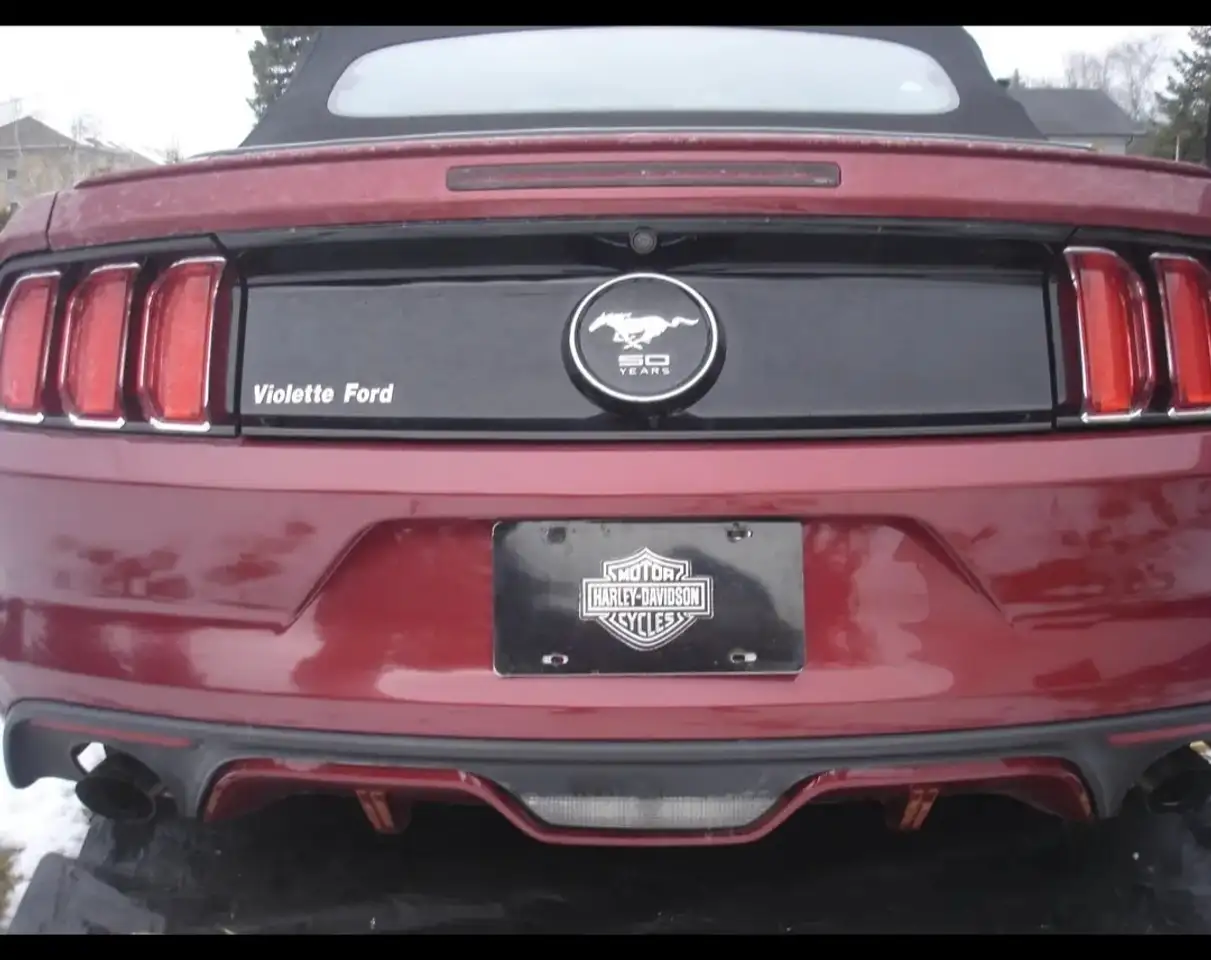 Ford Mustang fotografie Ford Mustang