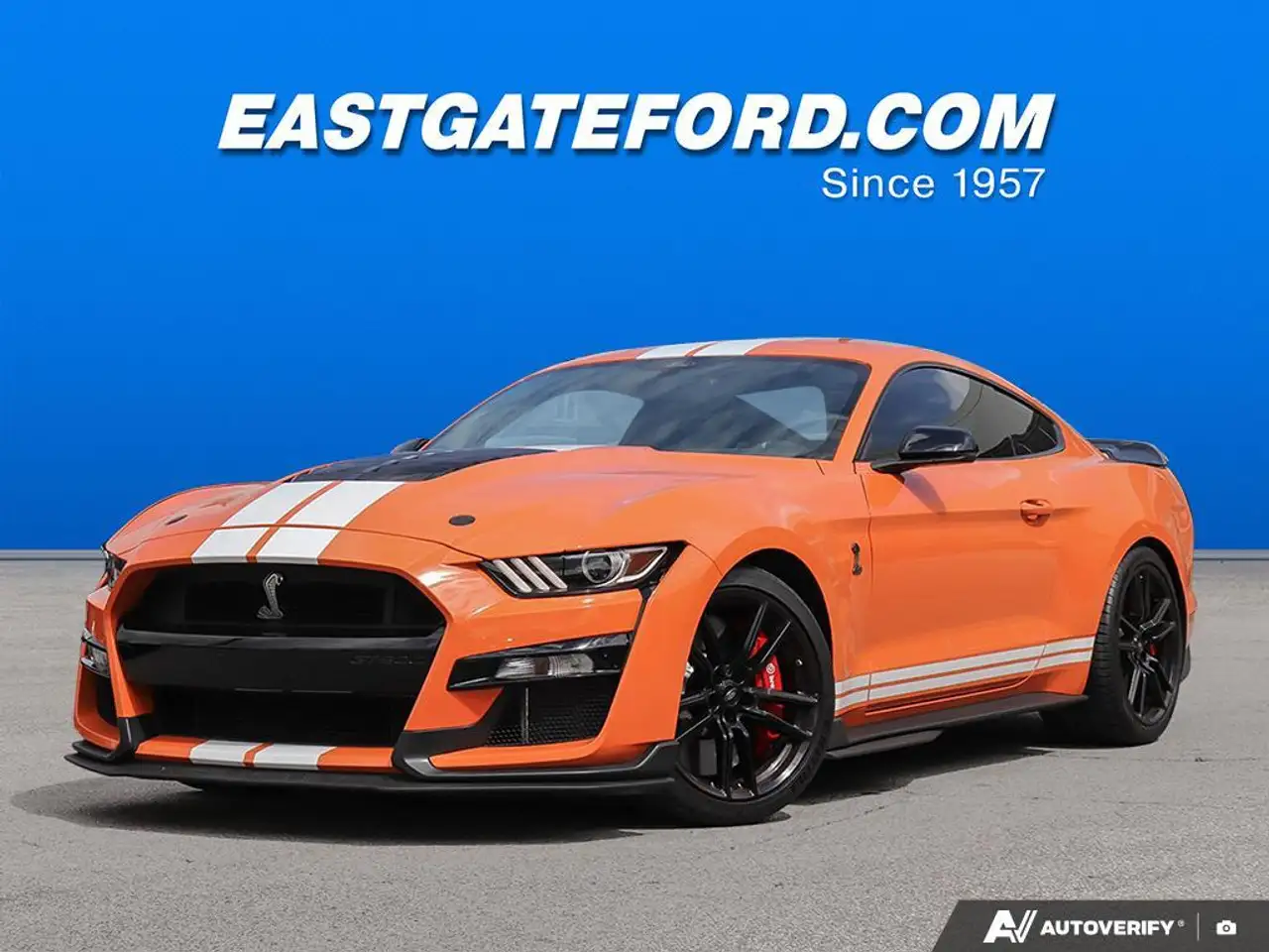 Ford Mustang fotografie Ford Mustang