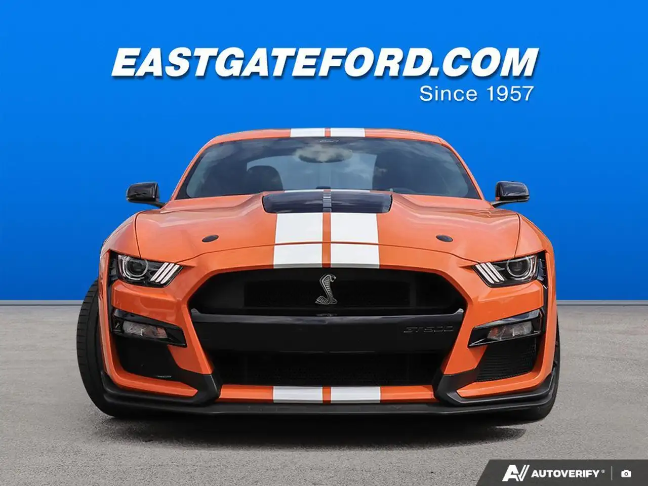 Ford Mustang fotografie Ford Mustang