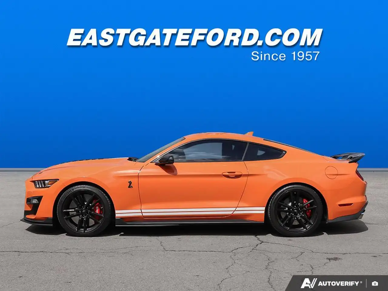 Ford Mustang fotografie Ford Mustang