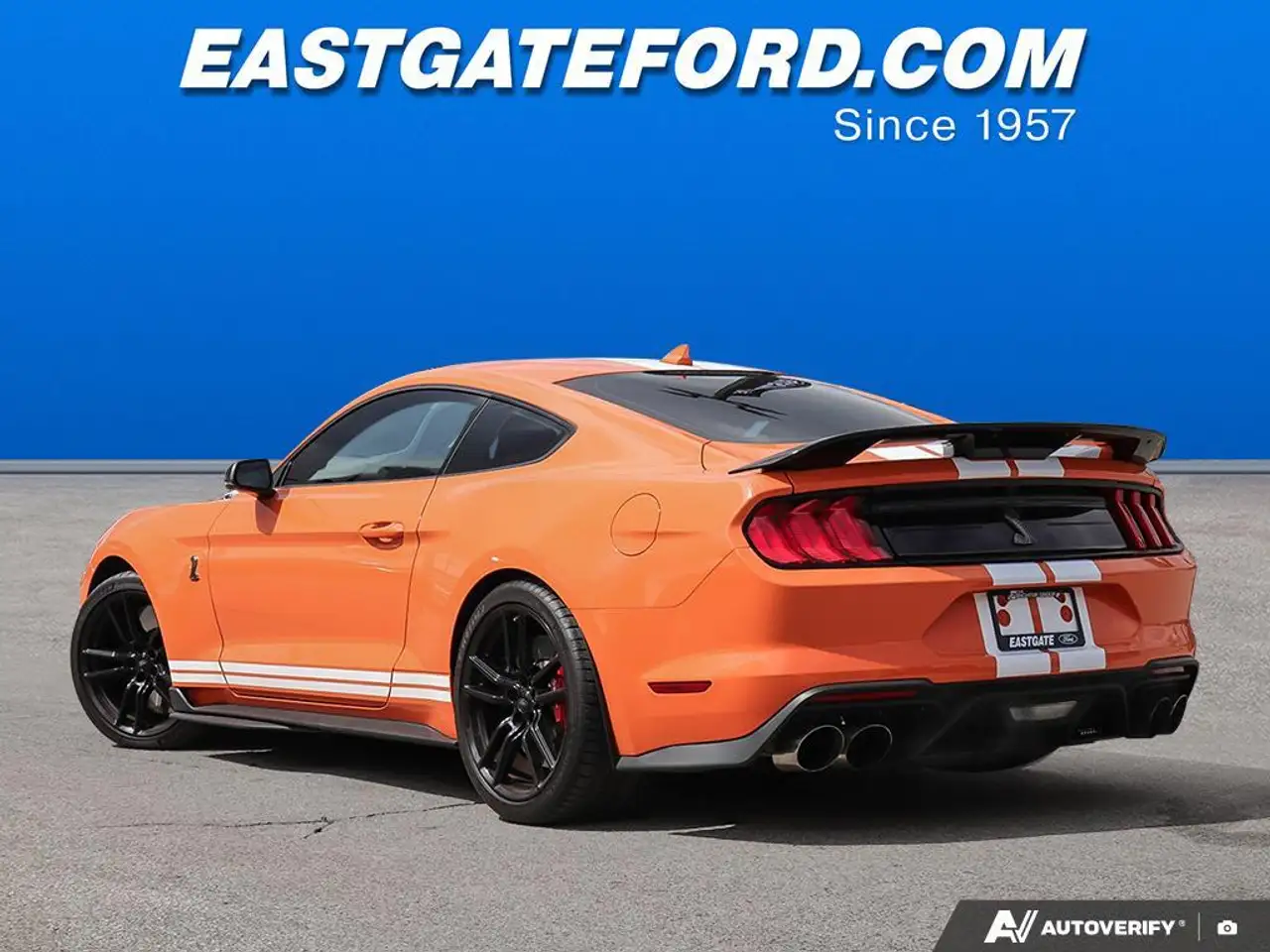 Ford Mustang fotografie Ford Mustang
