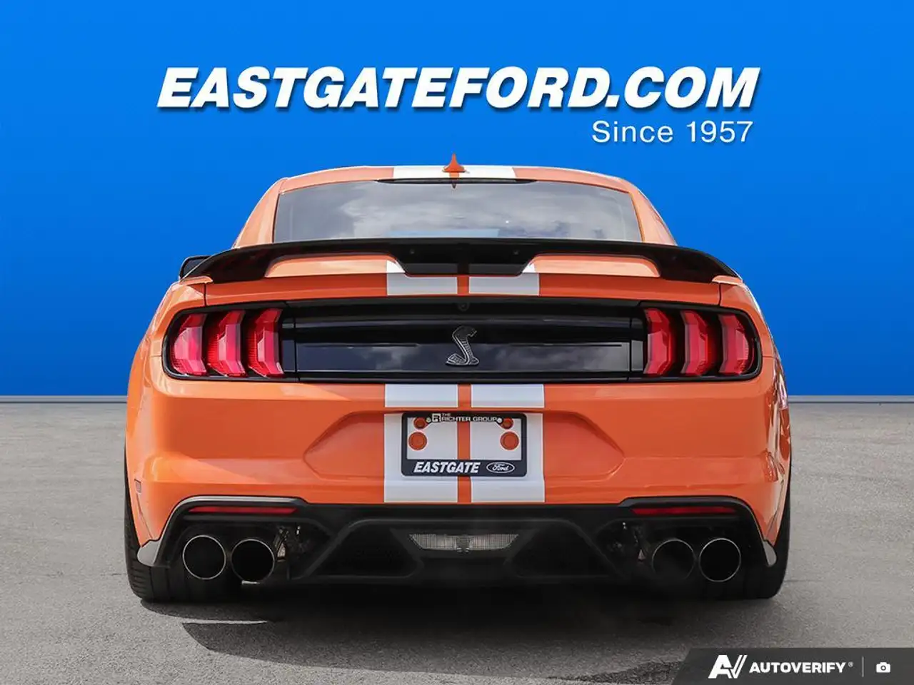 Ford Mustang fotografie Ford Mustang
