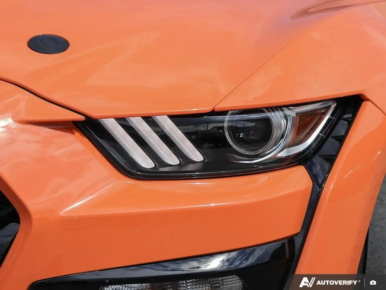 Ford Mustang fotografie Ford Mustang