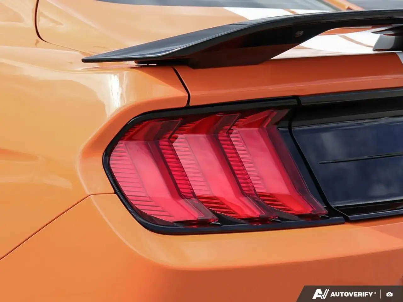 Ford Mustang fotografie Ford Mustang